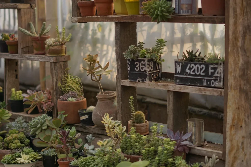 Aménagez votre jardin avec des solutions durables et écologiques